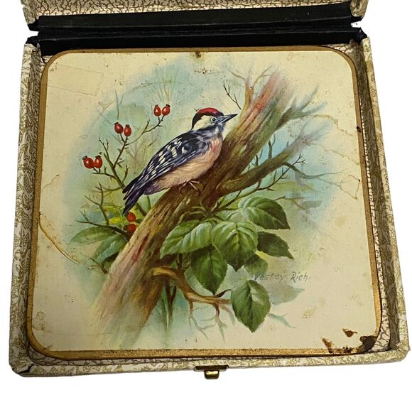 Vintage WIN-EL-WARE 6 Coasters 6" x 6" with Box - Artist Vestey Rich BIRDS - Picture 7 of 14
